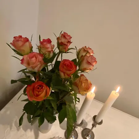 Sjarmerende I Hjertet Av Nyaraló *