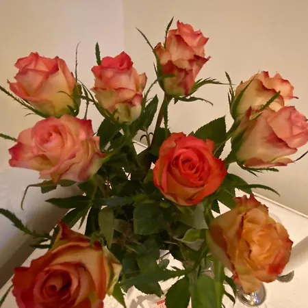 Sjarmerende I Hjertet Av Сasa de vacaciones *