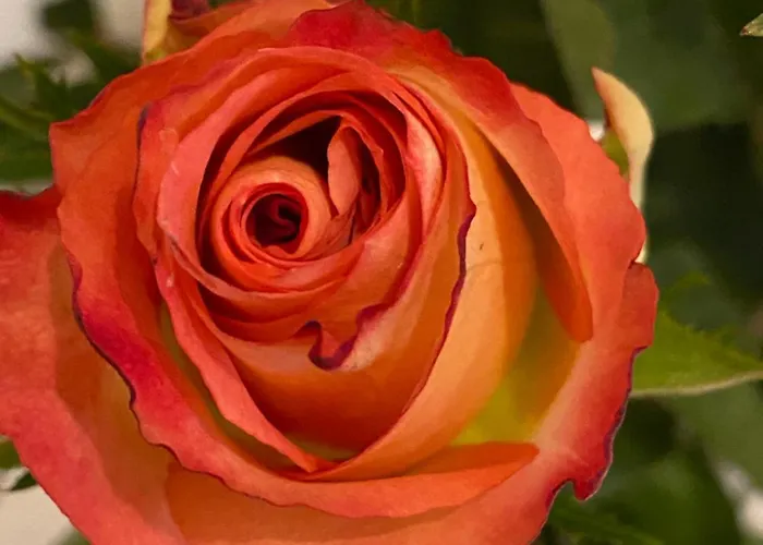 Sjarmerende I Hjertet Av Prázdninový dům *